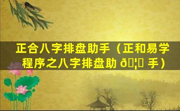 正合八字排盘助手（正和易学程序之八字排盘助 🦆 手）